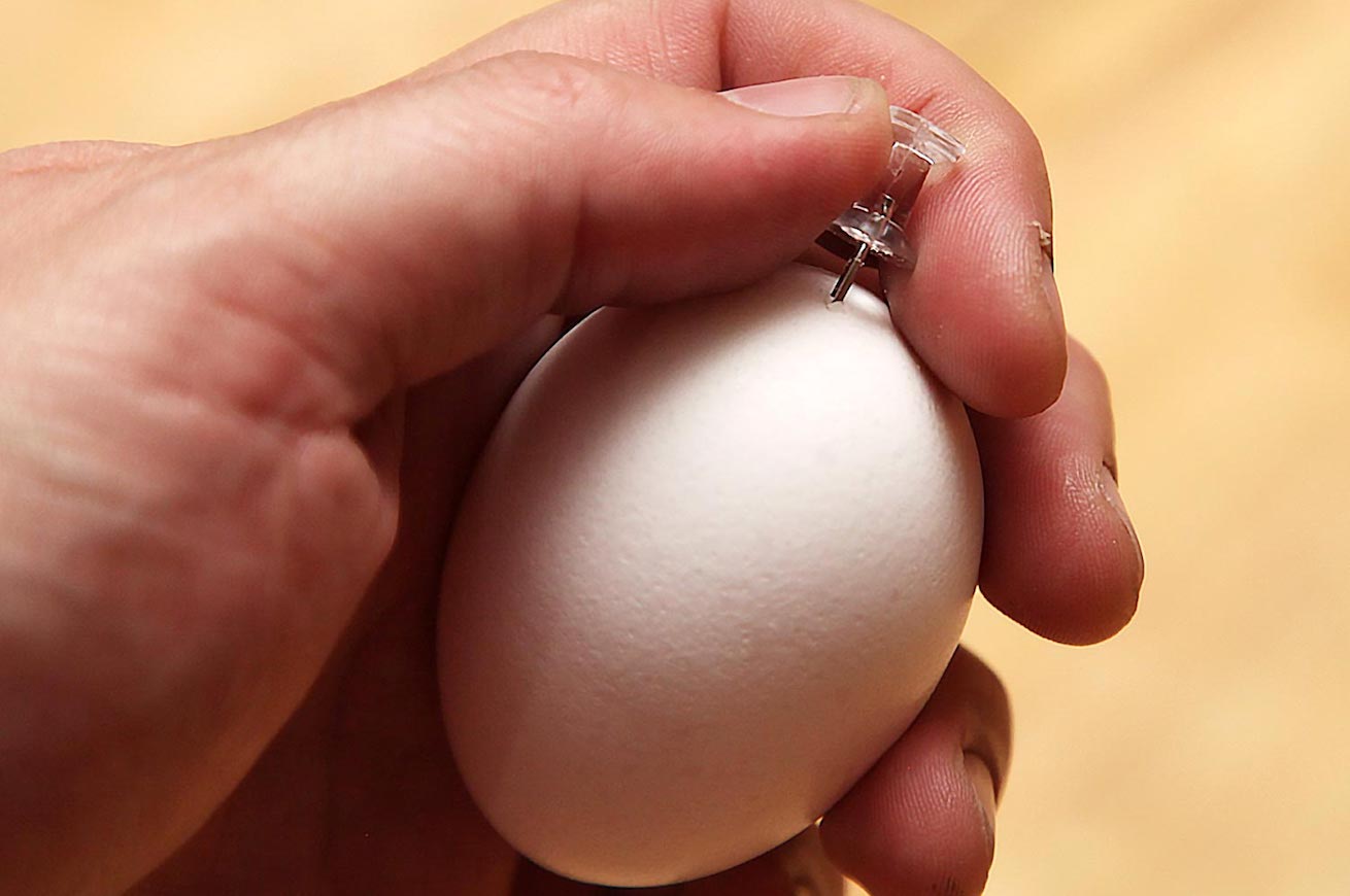 Виброяйцо с вращающейся головкой Evolved Twistin' The Night Away, голубое EN-RS-6375-2 - Evolved - Вибрирующие яйца - Купить