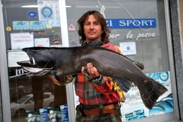 Stefano Scaramellini con la mega trota