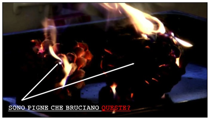 Sono pigne che bruciano queste?