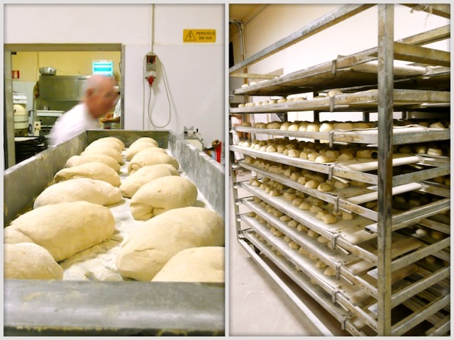 Pasticciotti in preparazione