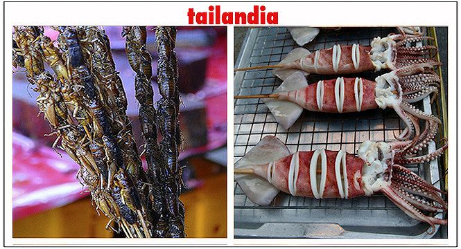 Tailandia | Street Food