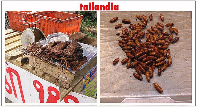 Tailandia | Street Food