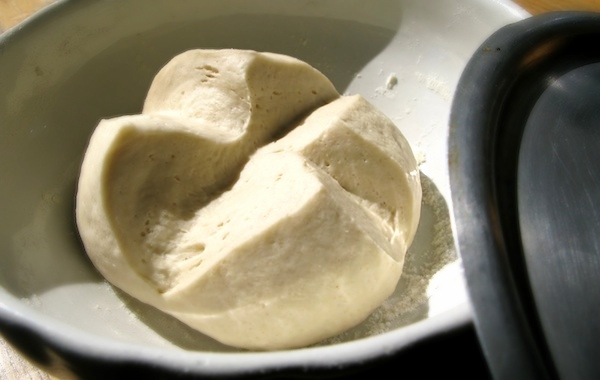 pasta madre