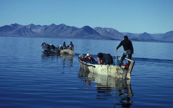 Caccia al Tepa, islanda