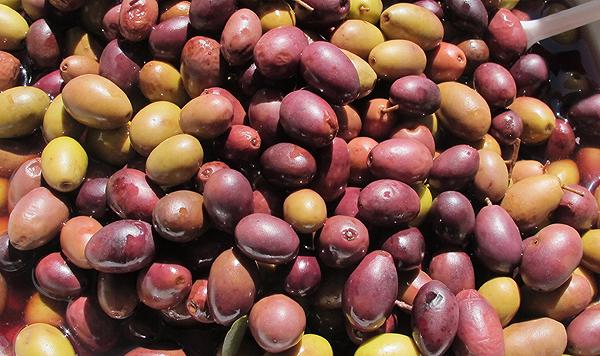 L’oliva taggiasca: delizia ligure. Nonostante i liguri.