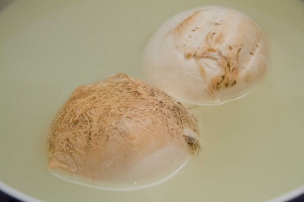 mozzarella-affumicata-Rivabianca-Paestum