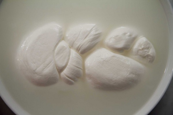 treccia-mozzarella-bufala-Granato-Paestum