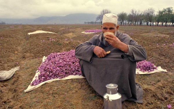 tè, pakistan