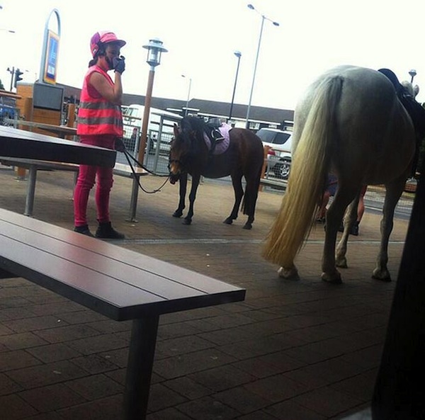 A cavallo da McDonald's