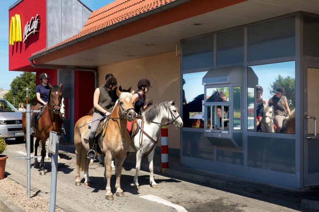 Cos’ha voluto dirci col suo gesto il cavallo portato dentro al McDonald’s?