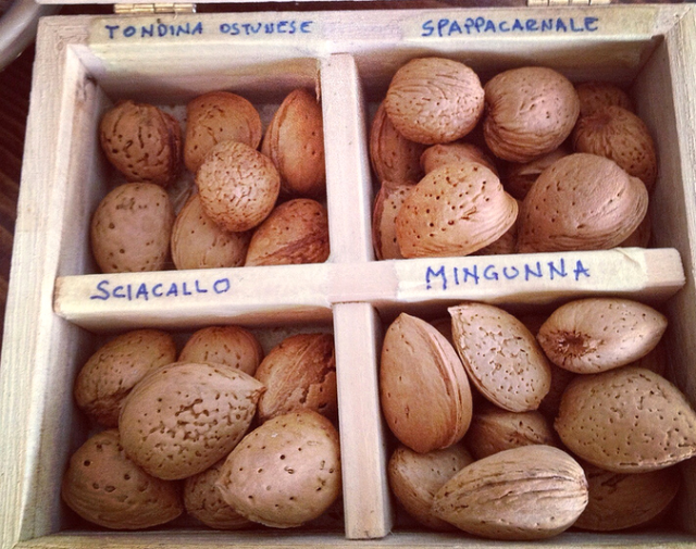 Mandorle per il biscotto di Ceglie