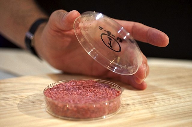 hamburger artificiale