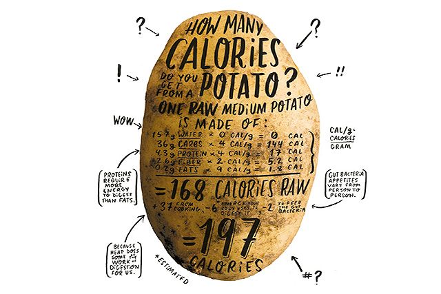 quante calorie in una patata
