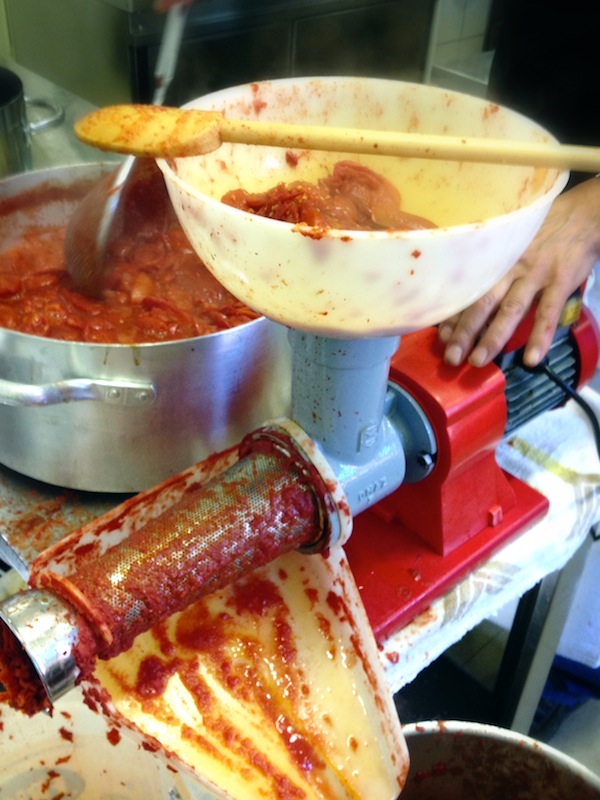 macchina, passata di pomodoro