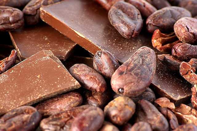 Singapore: arriva il primo cioccolato prodotto con cacao coltivato localmente