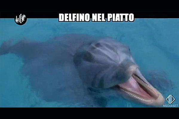 Sequestri a Fregene: quella radicata abitudine italiana di mangiare carne di delfino