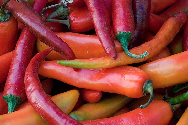 Pisa: spray al peperoncino in un fast food del centro