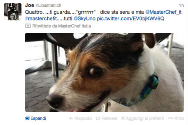 tweet-joe-bastianich