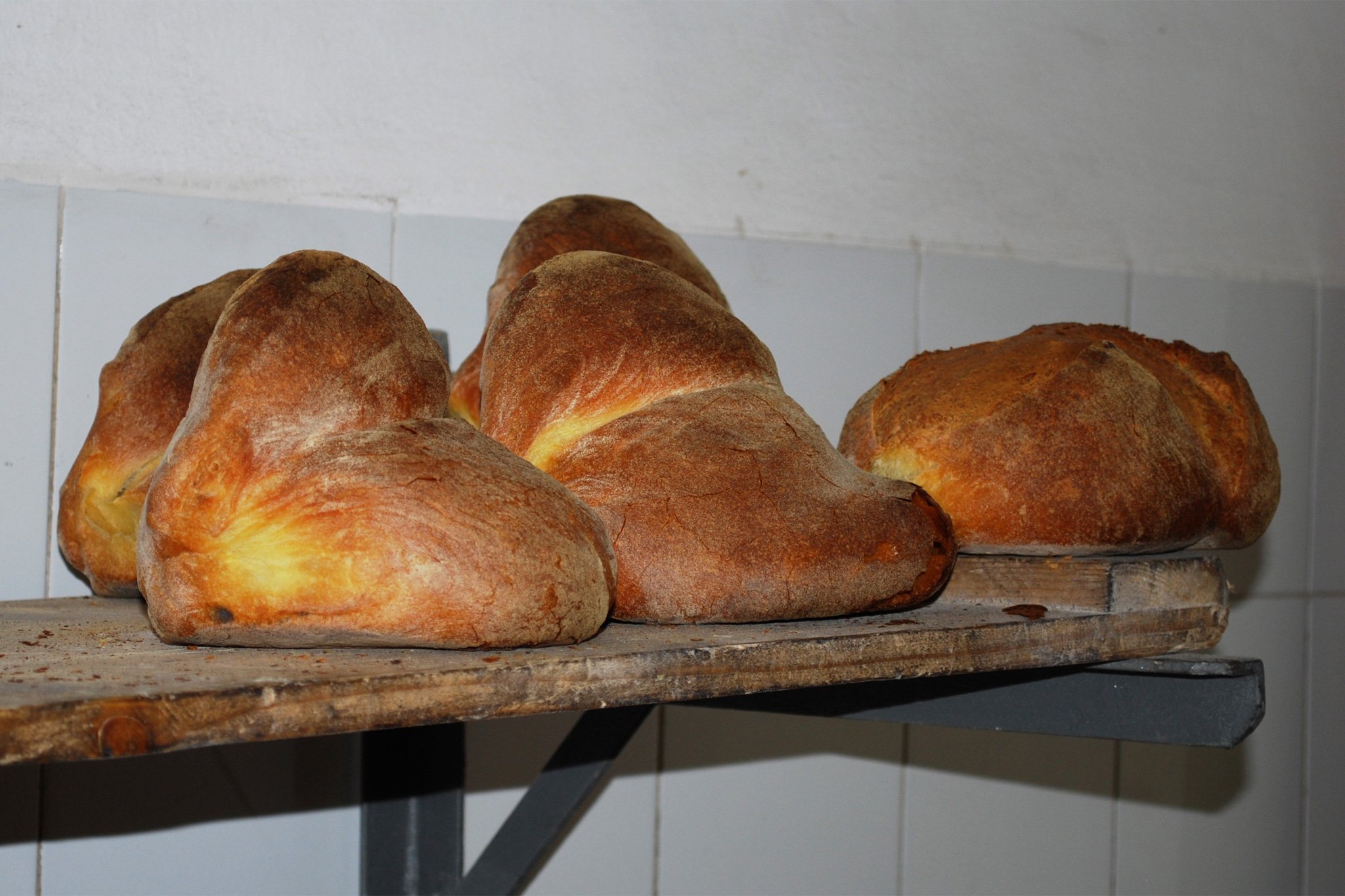 pane di altamura