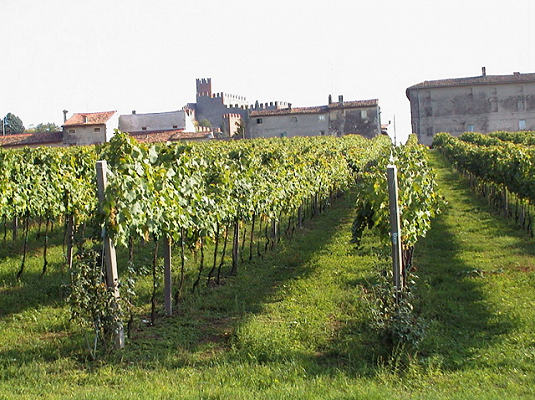 Soave - vigne e castello