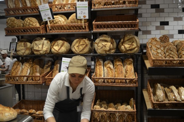 pane