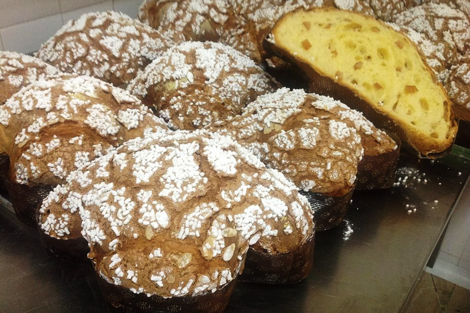 colomba claudio gatti tabiano