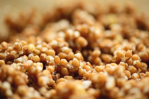 grano, pastiera napoletana