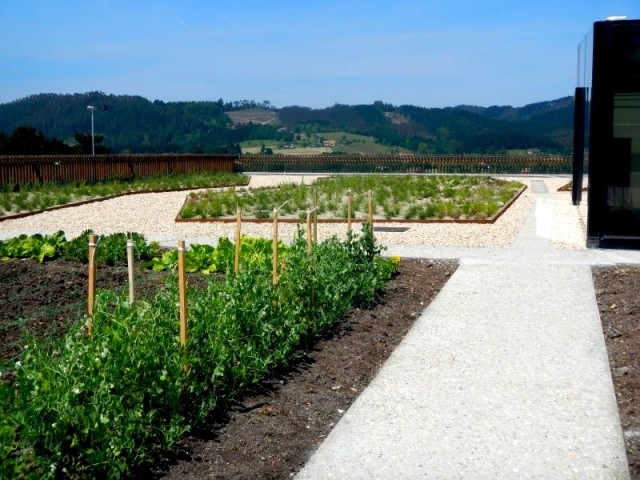 Azurmendi, orto