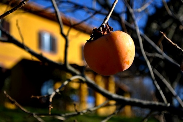 Comunità Vallechiara