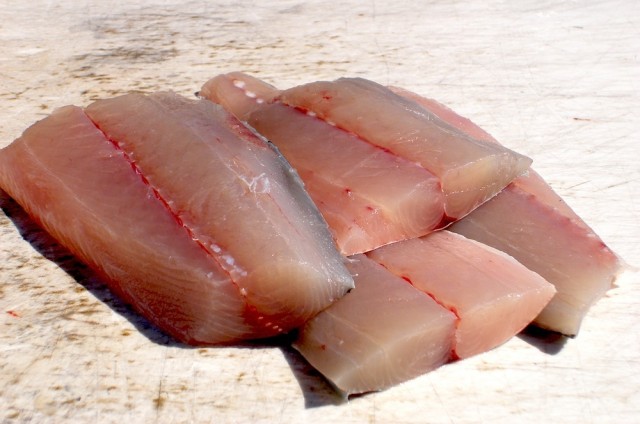 Filetti di pesce
