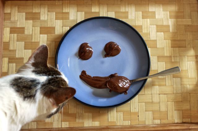 Nutella e il gatto