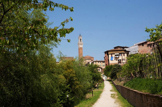orto dei pecci siena
