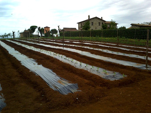 Agriturismo La Polledrara
