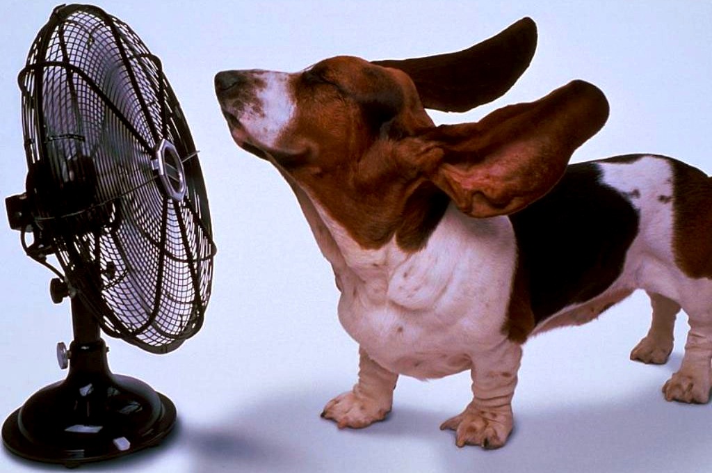 Fa caldo!
