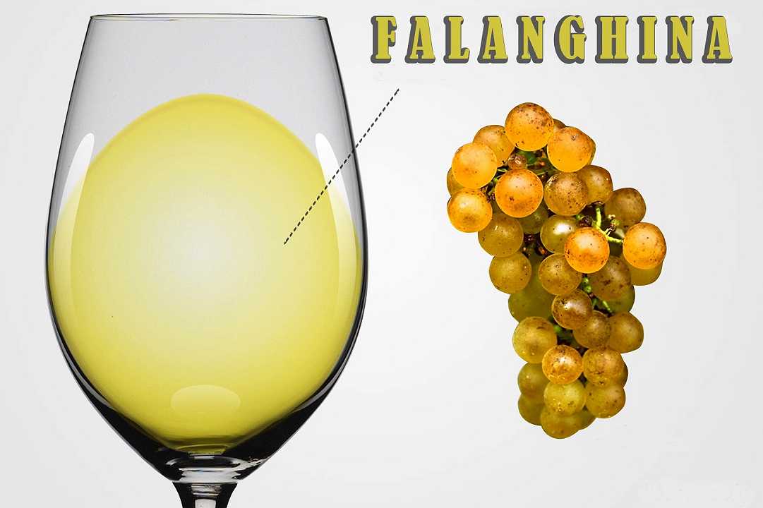 Sopra i 30 gradi scatta il momento Falanghina: un vino per l’estate, anzi 8