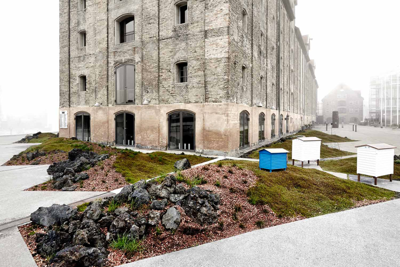 Orto giardino del Noma