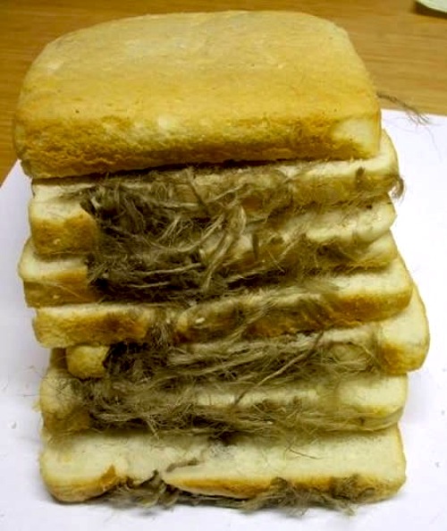 Pane con fibra del forno