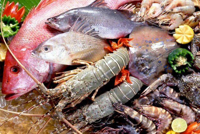 Pesce