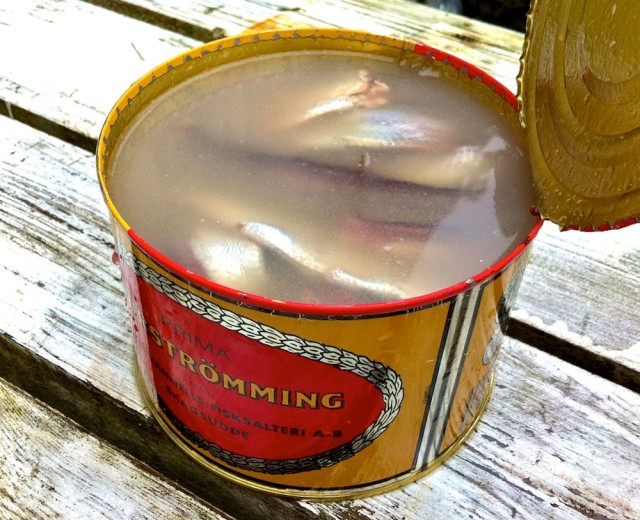 surströmming