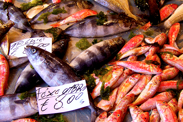In Italia catalogare i nomi dei pesci è un balletto satanico perché cambiano di regione in regione. Ma ci proviamo