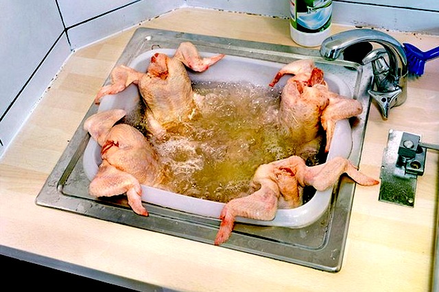 pollo, lavato, lavandino