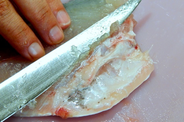 Sfilettare il pesce, pancia