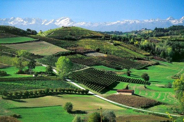 langhe