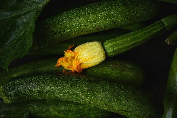 zucchine, fioredizucca