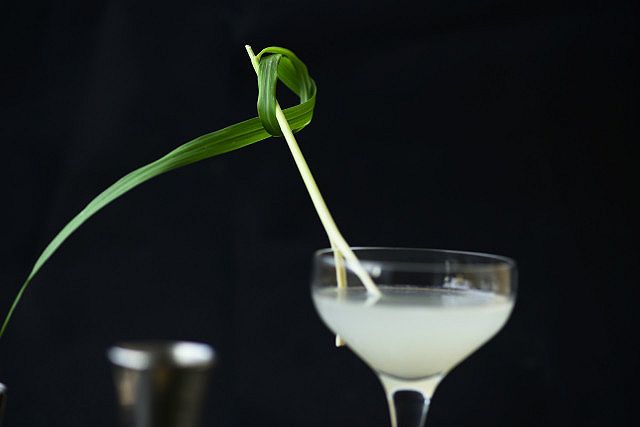 Gin grass, cocktail