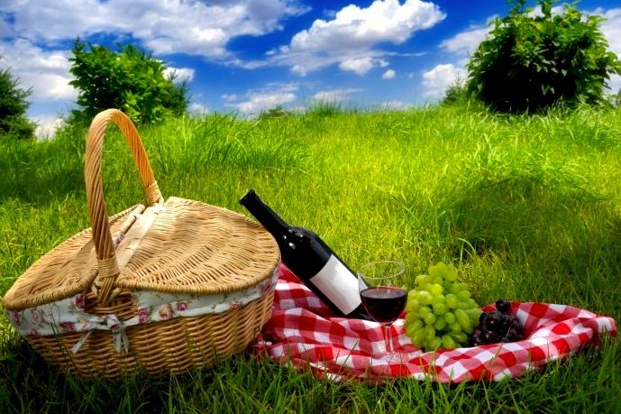 Vini per il picnic di Ferragosto