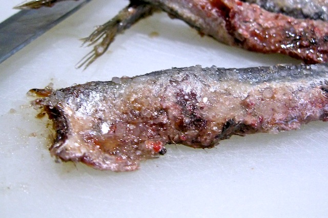 acciughe, aspetto