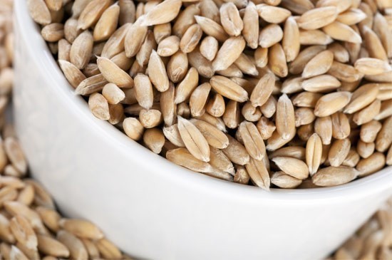 farro