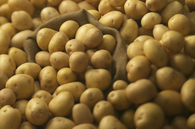patate