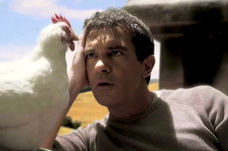 Antonio Banderas e la gallina Rosita